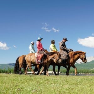 Pre-race Horse Trek + Race Week Package